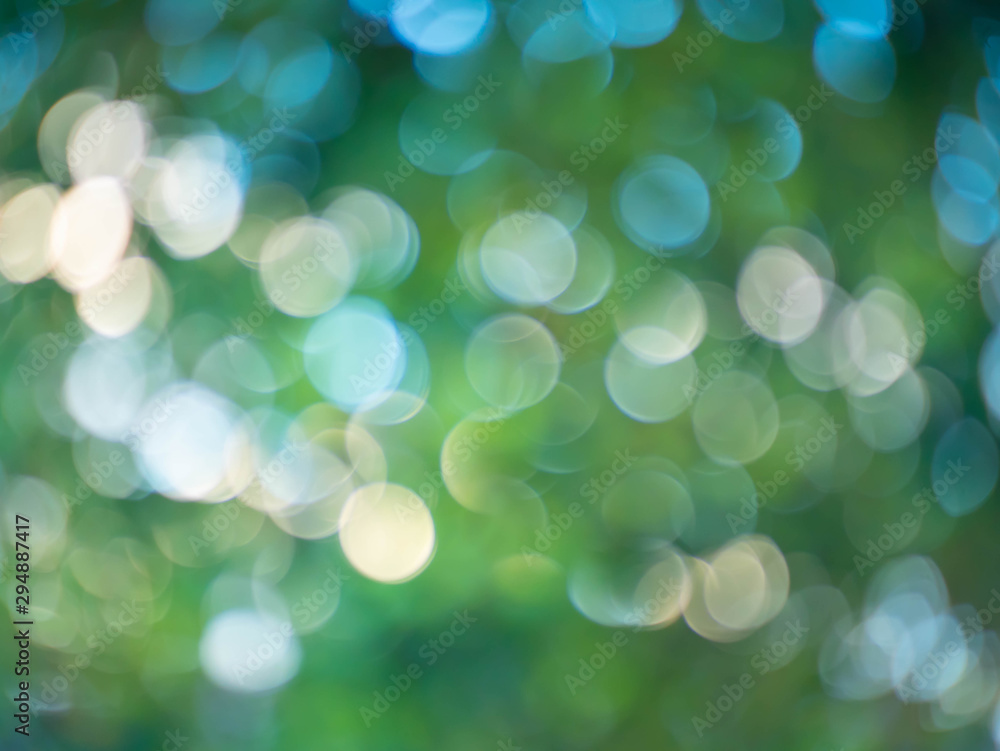 Fototapeta premium green nature bokeh for background