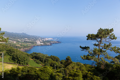 Fototapeta Naklejka Na Ścianę i Meble -  Landscape of Pico Island