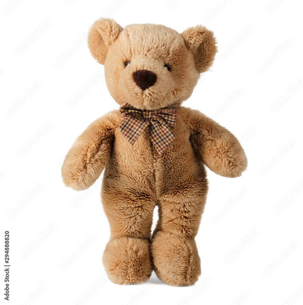 Fototapeta premium teddy bear isolated on white background