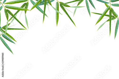 leaf frame with white background