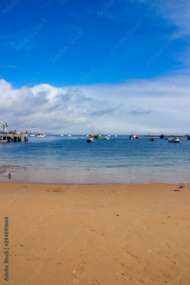 beach with boats in the background