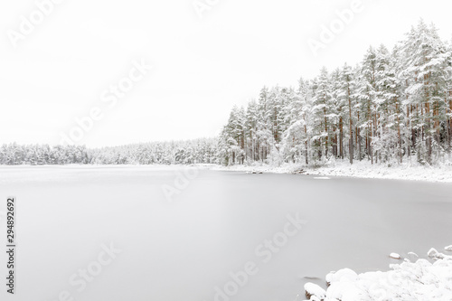Forest by frozen Stora Skiren lake in Finspang, Sweden photo
