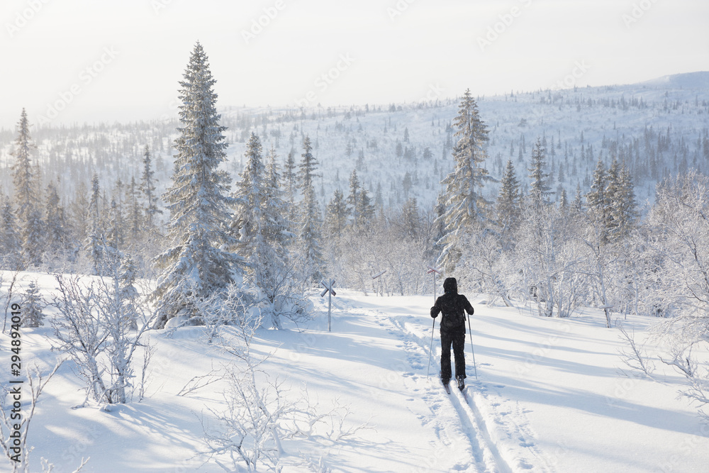 Man skiing by snow covered trees Man skiing by snow covered trees
