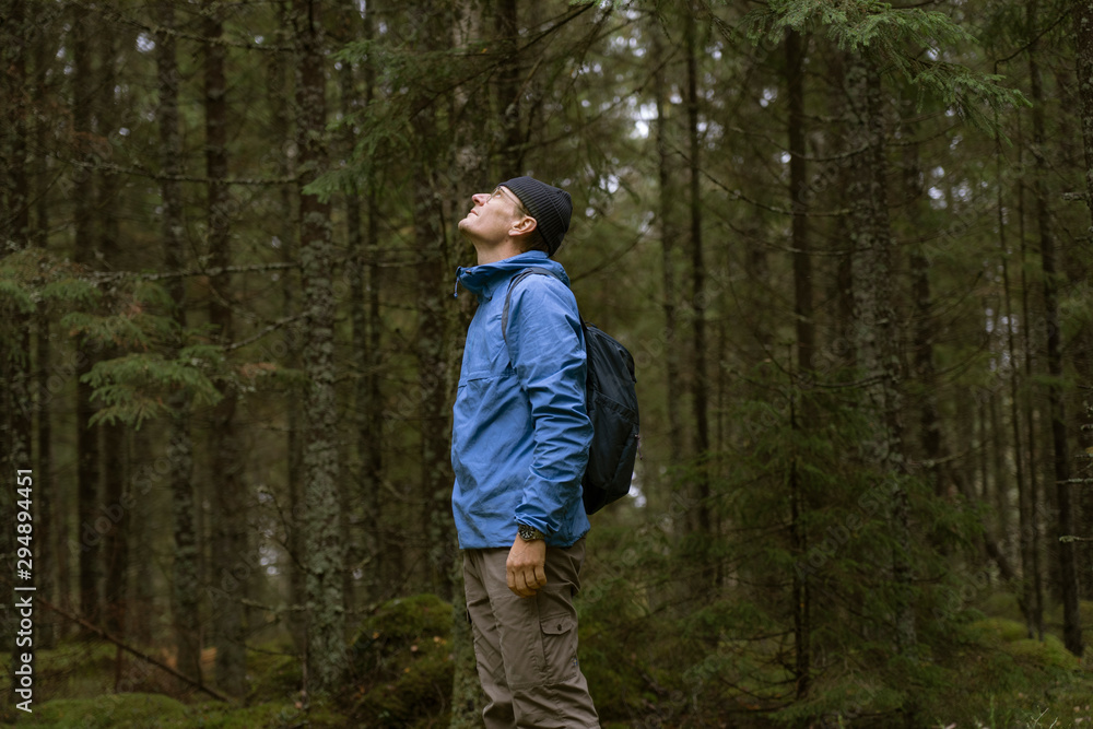 Hiker looking up in forest Hiker looking up in forest