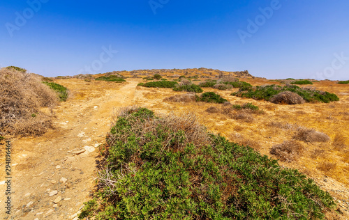 picturesque savannah with a road and green bushes with deep blue sky on background, desert landscape