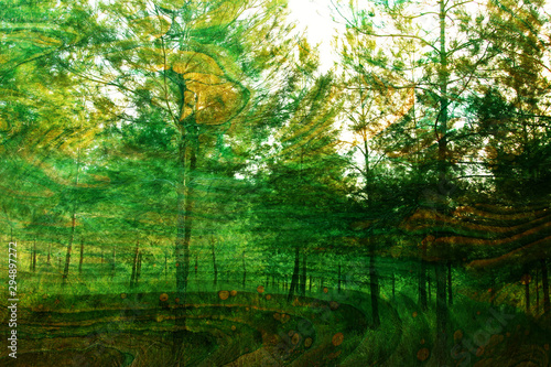 koncepcja sztuki podwójnej ekspozycji w przyrodzie. kolory lasu i jesieni