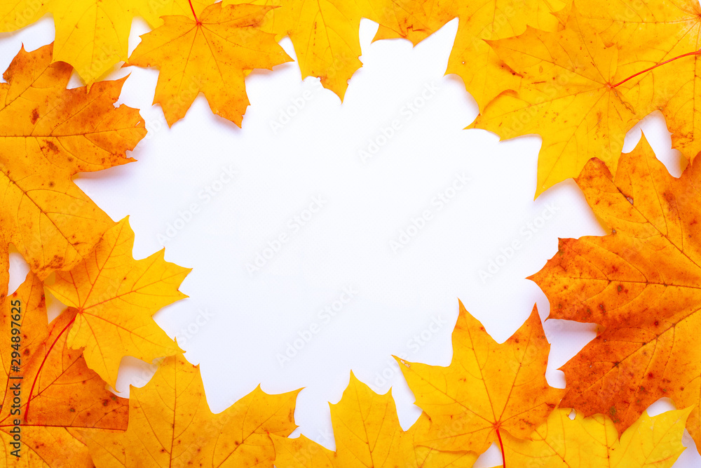 frame of yellow-orange autumn maple leaves frame of yellow-orange autumn maple leaves