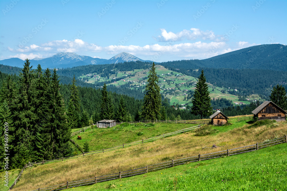 Forest and mountains in the vicinity of the village of Vorokhta. Ukraine. Carpathians.
