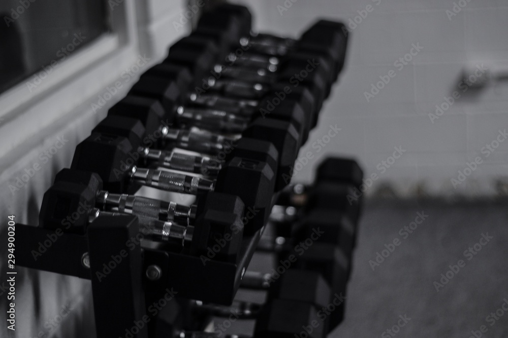 Obraz premium Line of Dumbbell in a professional bodybuilder gym 