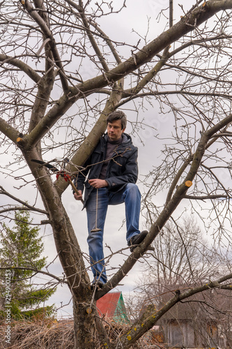 Man climbing high on an apple tree with pruner against sky. Pruning of fruit trees with lopper. Spring or autumn work in garden. Gardening concept