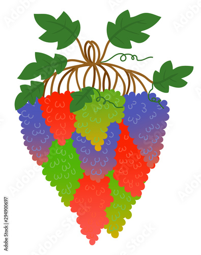 Grape bunch or berry cluster, vine plantation harvest vector. Vineyard, wine ingredient, viticulture or agriculture, fruit crop or harvest, organic product. Bouquet of grape