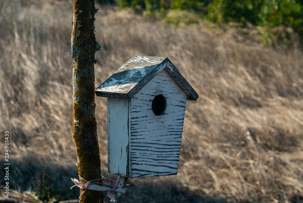 Little wood house for birds