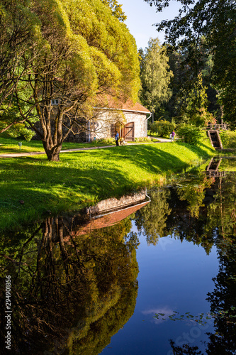 Wallpaper Mural autumn in the park Torontodigital.ca