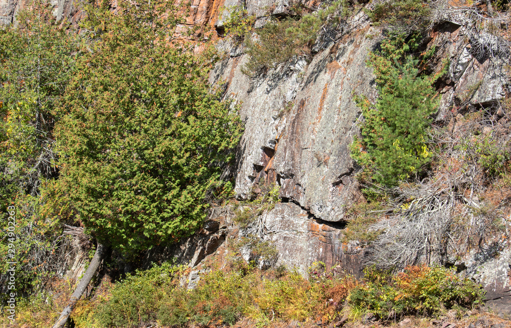 Close up detail image of Barron Canyon granite slope with trees