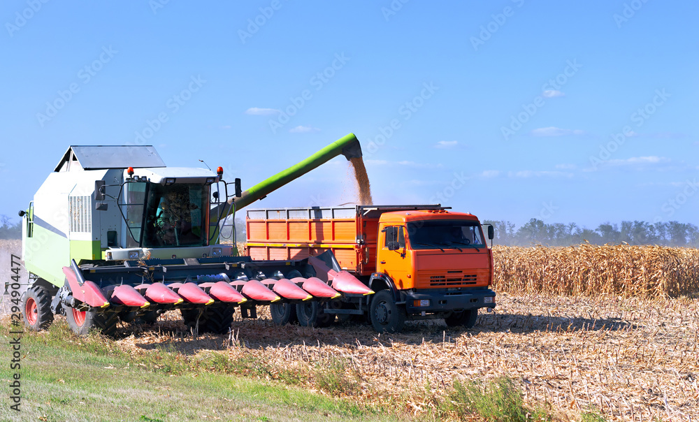 harvesting corn with a combine in season and unloading grain into a truck, agricultural process harvesting corn with a combine in season and unloading grain into a truck, agricultural process