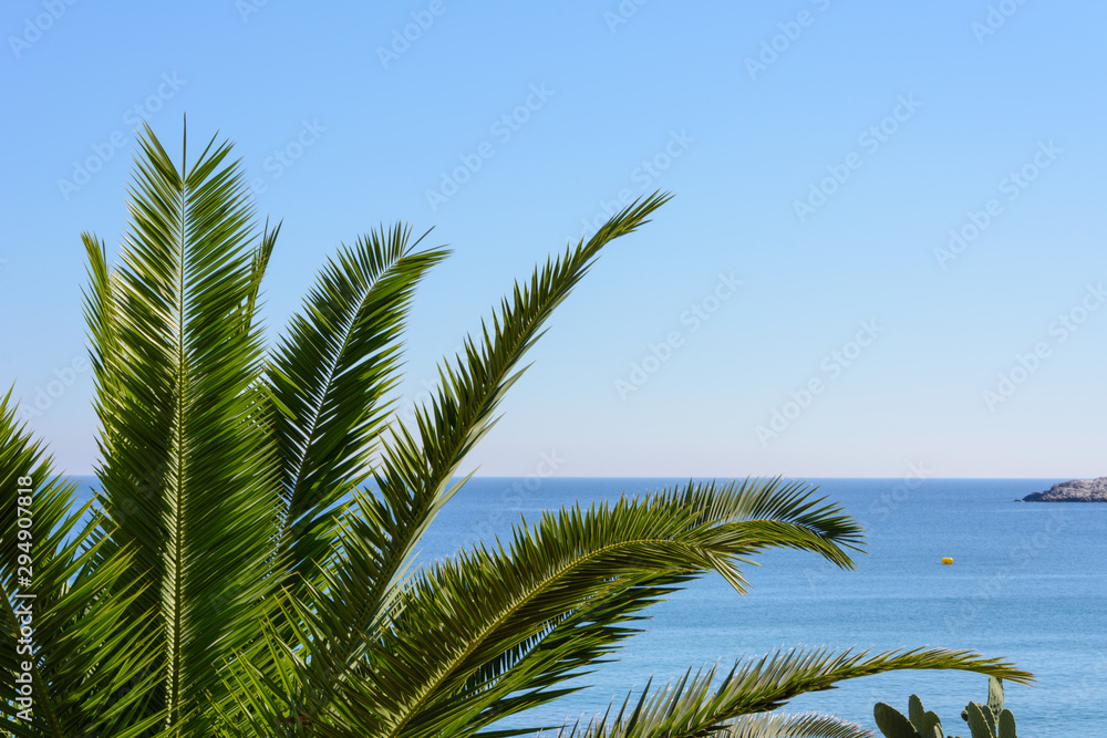 Fototapeta premium green branches of a palm tree on a cliff against the blue sky and the Mediterranean sea