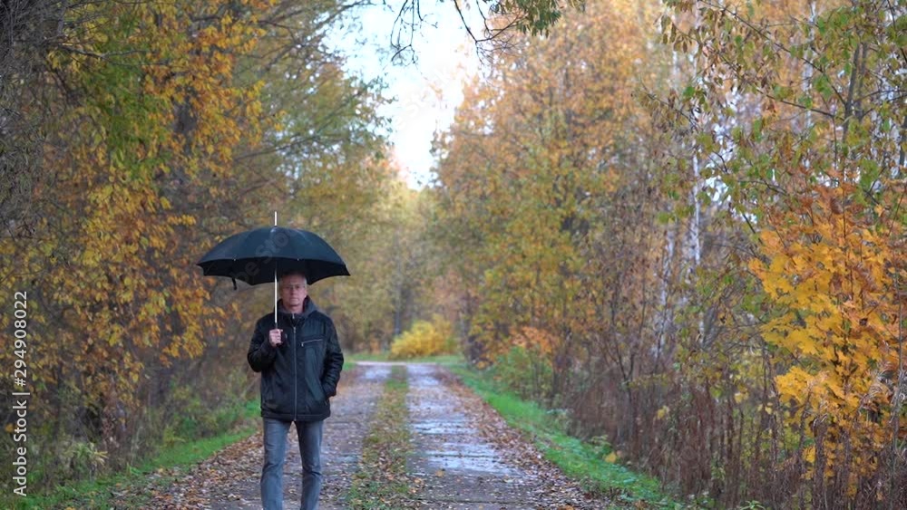 A man walks under a black umbrella in the afternoon along an autumn Park alley and admires the autumn trees. A man walks under a black umbrella in the afternoon along an autumn Park alley and admires the autumn trees.