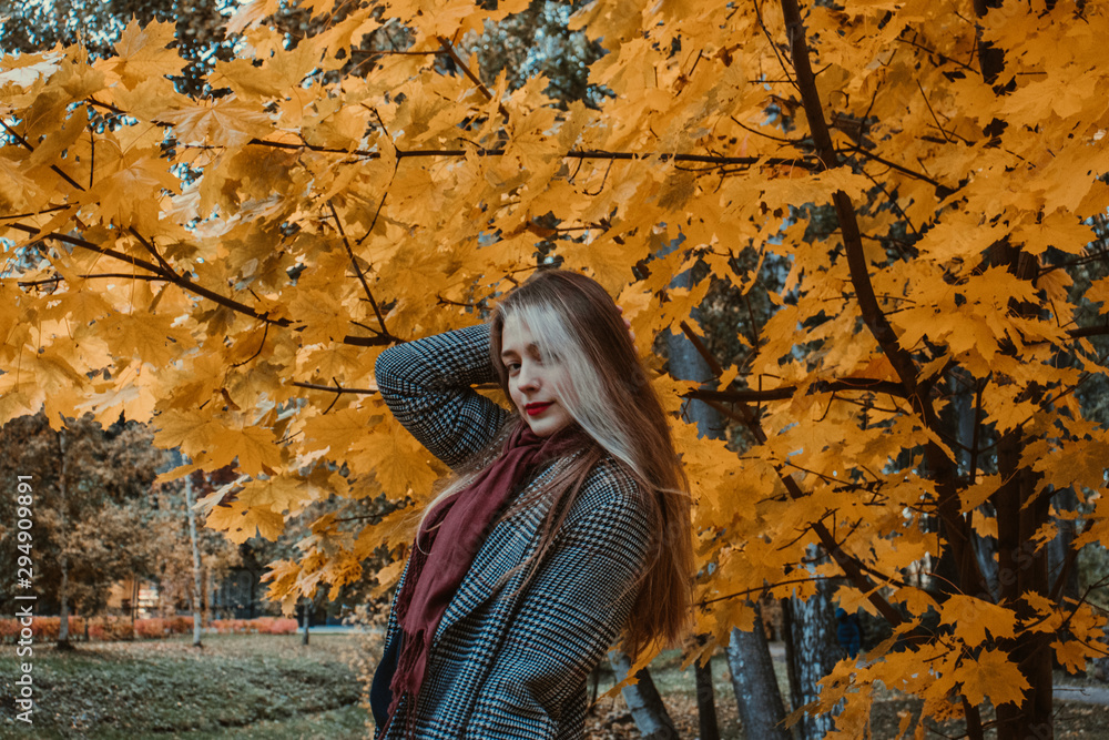 girl in autumn in a park or forest