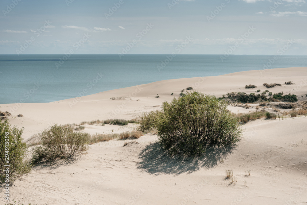 Landscape on the coast by the sea-sandy beach with small vegetation on a summer day with clouds