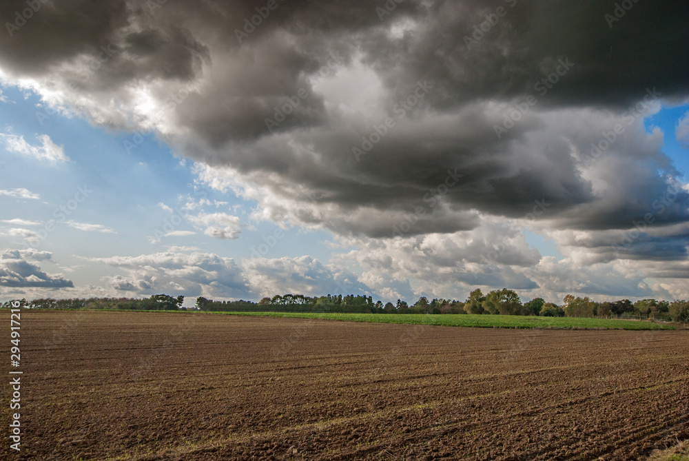 Dramatic rain clouds over a harvested field.