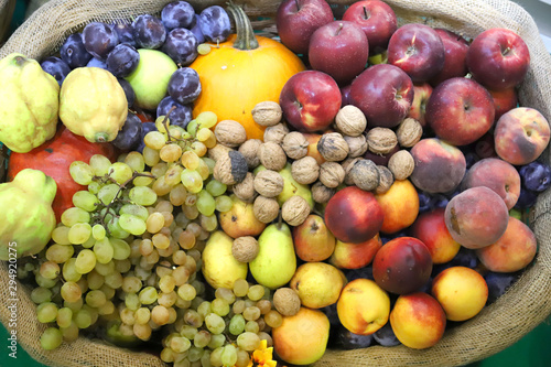 Fototapeta Naklejka Na Ścianę i Meble -  Various freshly picked harvested fruits