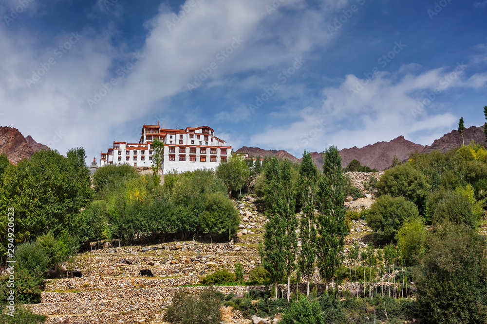 Fototapeta premium Likir gompa (Tibetan Buddhist monastery in Ladakh, India