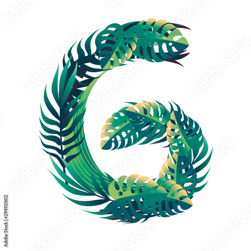 Leaf number 6 with different types of green leaves and foliage cartoon style design flat vector illustration isolated on white background