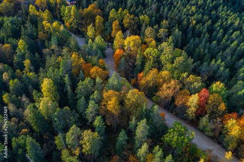 Łotewska jesień natura. Las i droga. Widok z góry.
