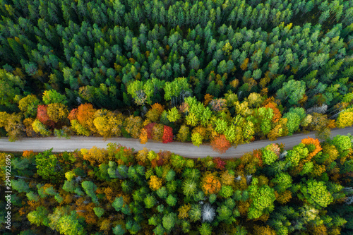 Łotewska jesień natura. Las i droga. Widok z góry.