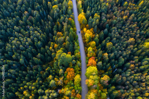 Latvian autumn nature. Forest and road. View from the top. © Aleks Kend