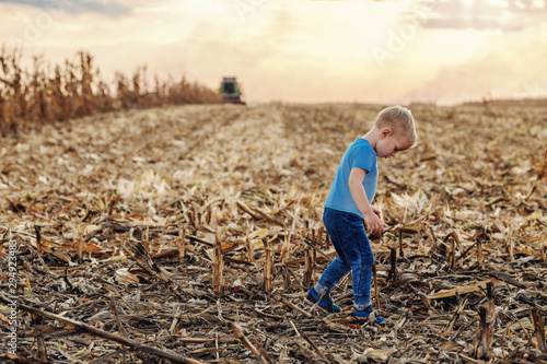 Rear view of cute little farmer boy standing on corn field and playing. In background is harvester harvesting. Back lit.