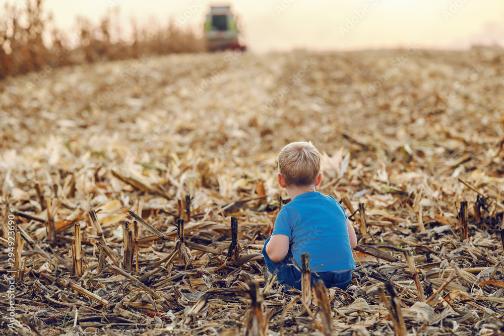 Rear view of cute little farmer boy crouching on corn field and playing. In  background is harvester harvesting. Back lit. Stock Photo | Adobe Stock