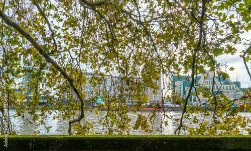 London - October 2019: View of the Thames from Millbank side, through tree branches photo