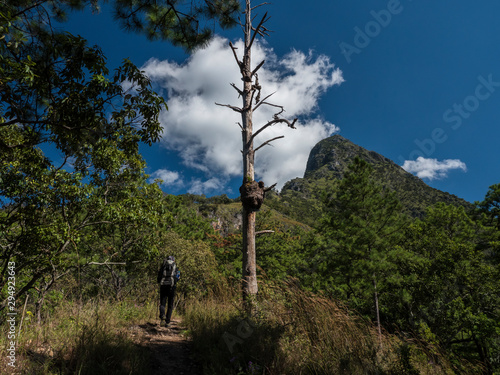 A hiking path in a Chiang Dao wildlife sanctuary named Den Ya Khad photo