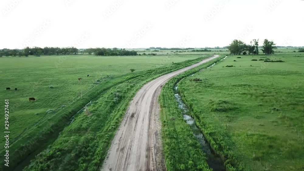 Natural Aerial View Field Drone