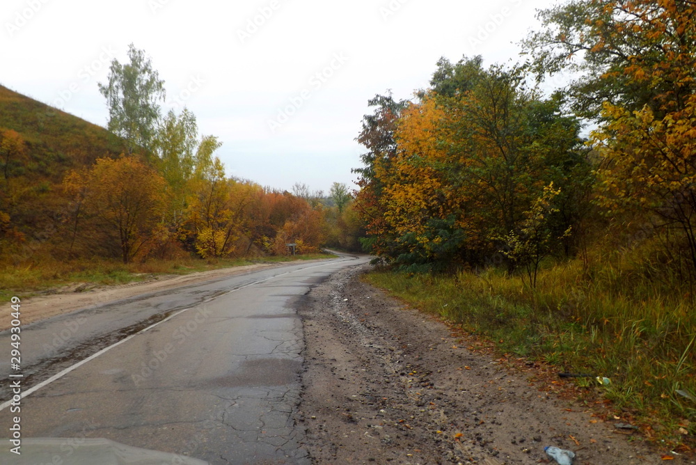 Fototapeta premium road in autumn