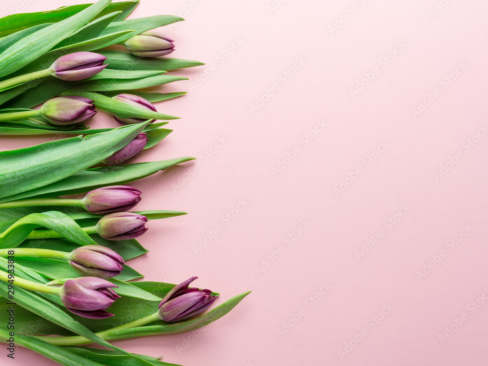 Bouquet pink tulips on lightpink background. Bouquet pink tulips on lightpink background.