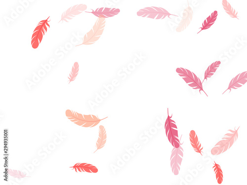 Fluffy twirled feathers on white design.