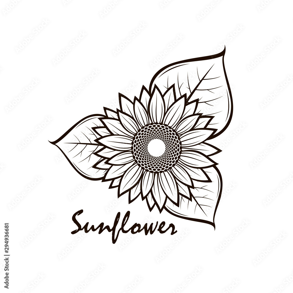 Fototapeta premium illustration with flower of sunflower isolated on white background