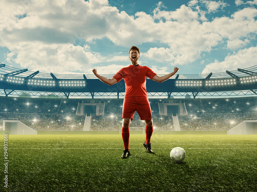 Soccer player celebrates goal. Soccer stadium with green grass and cloudy blue sky