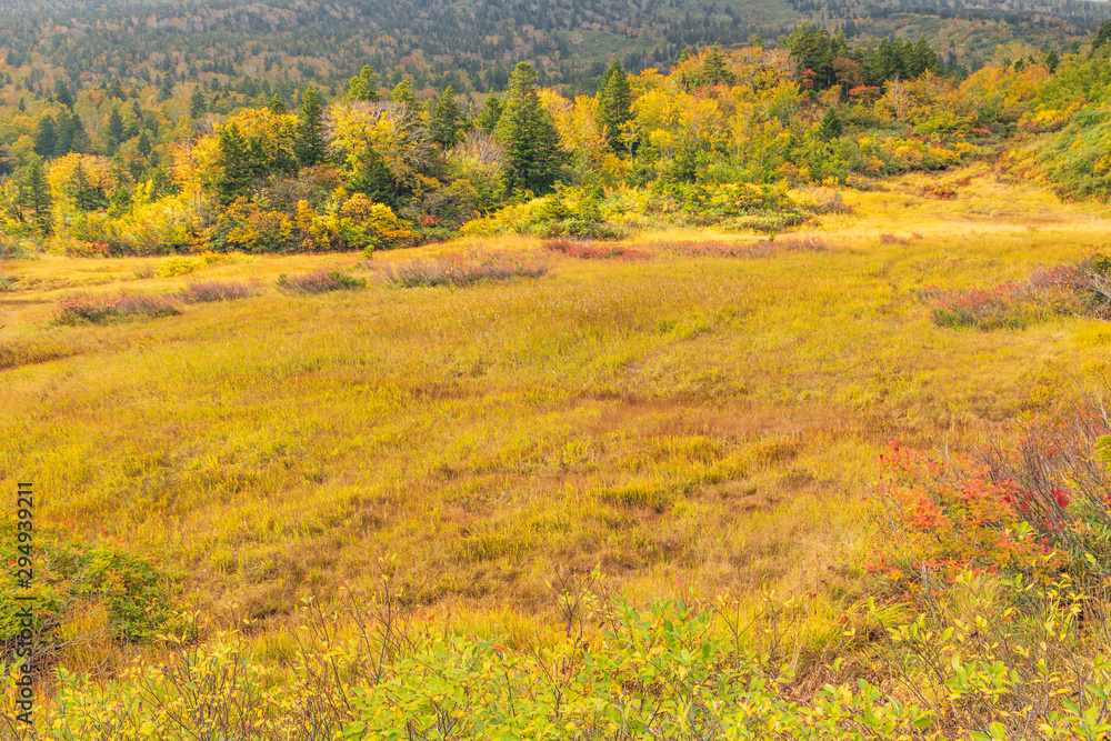 Towada Hachimantai National Park in early autumn Towada Hachimantai National Park in early autumn