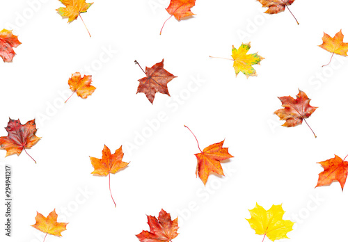 Colorful Autumn leaves concept pattern on the white background. Top view. 