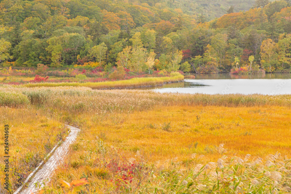 Towada Hachimantai National Park in early autumn Towada Hachimantai National Park in early autumn