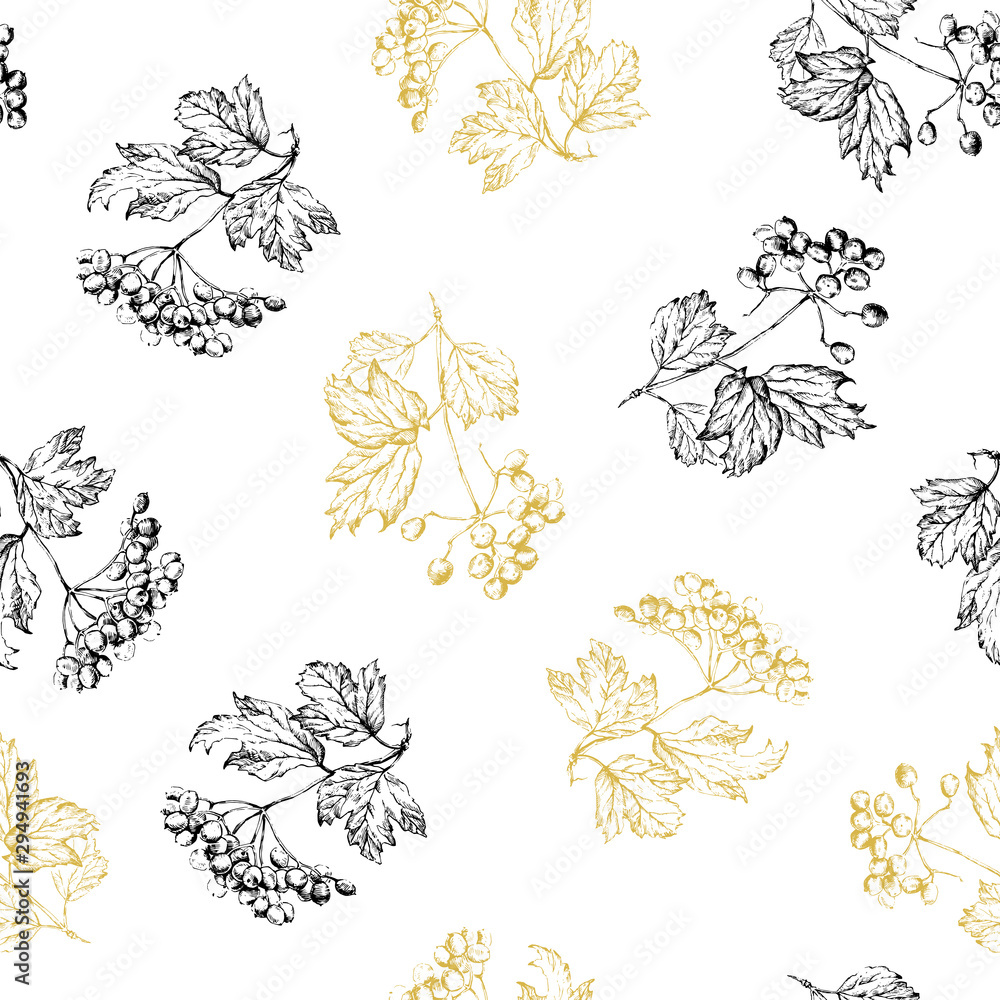 Fototapeta premium Vector seamless pattern of branch Viburnum or Guelder rose, ornate leaves and berry bunch in isolated on white.