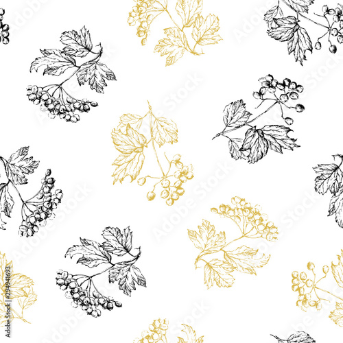 Fototapeta Naklejka Na Ścianę i Meble -  Vector seamless pattern of branch Viburnum or Guelder rose, ornate leaves and berry bunch in isolated on white.