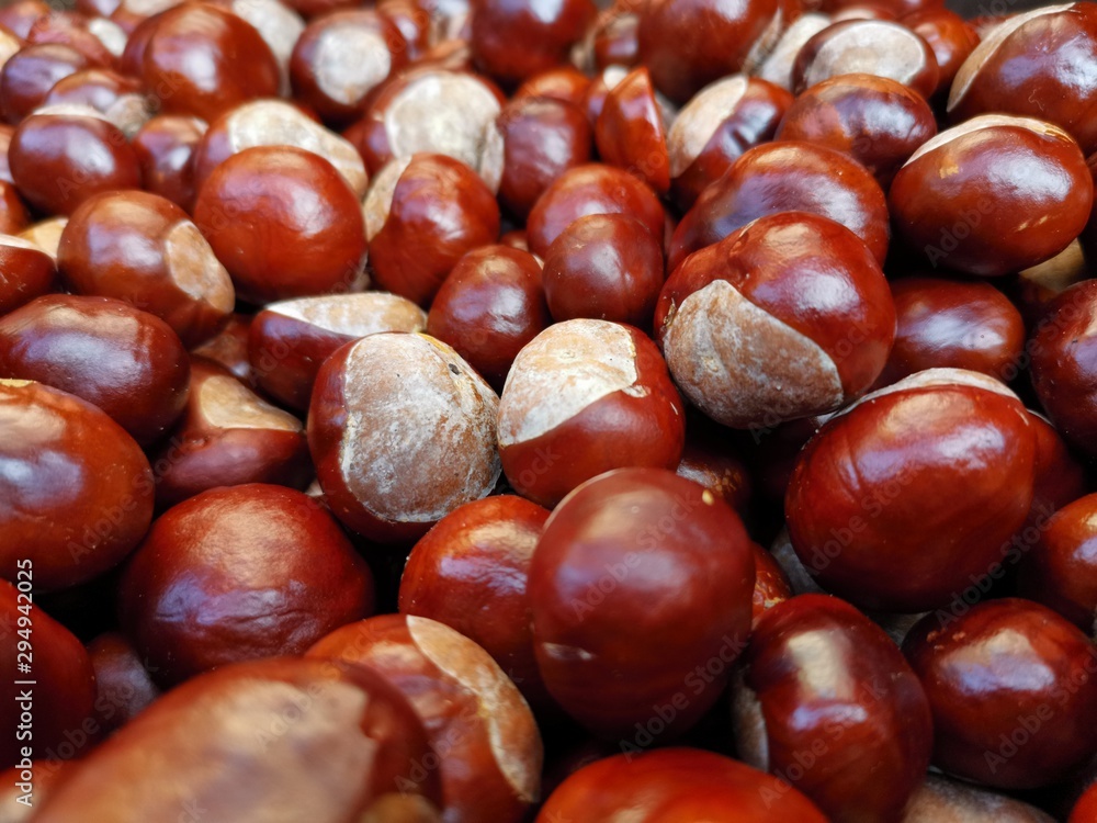 Fresh chestnut in red brown and white Fresh chestnut in red brown and white