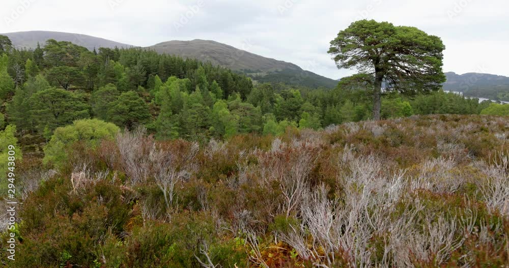 Beautiful scenic landscape of Scotland nature with beautiful evening sun set sky. Beautiful scenic landscape of Scotland nature with beautiful evening sun set sky.