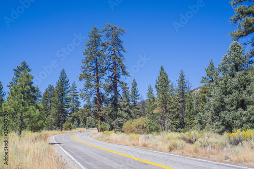Bends in Mountain Roads in California