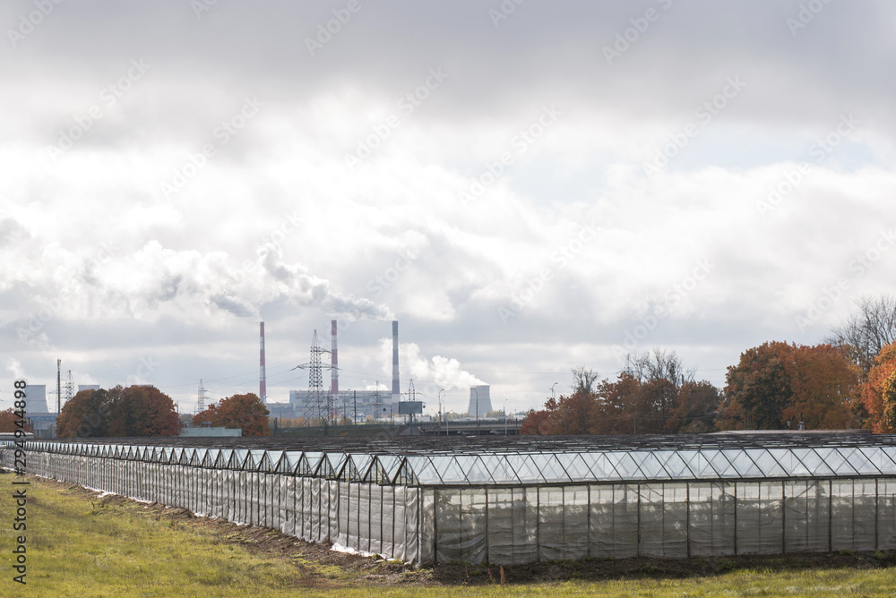 Greenhouses for growing vegetables, fruits and herbs in all weather conditions.
