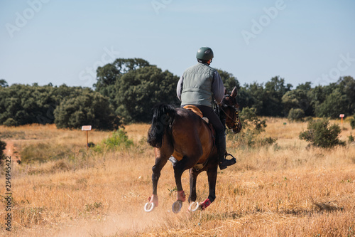 man on horseback © Daniel